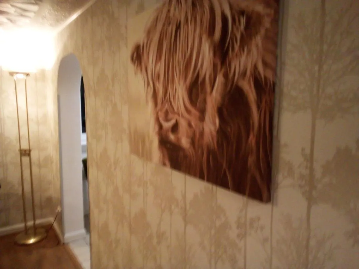 City Centre Rooms - Castle Barns Edinburgh
